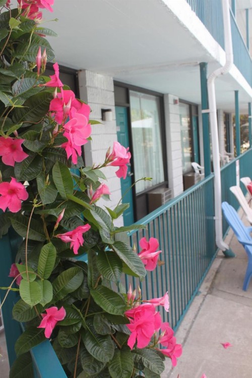 Ozark Valley Inn - image 21