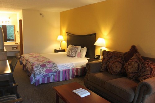 Ozark Valley Inn - image 35