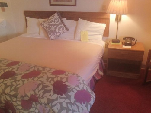 Ozark Valley Inn - image 8
