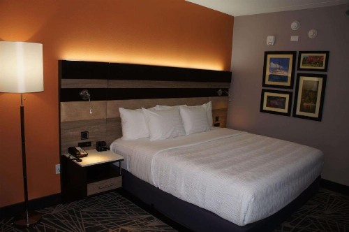 La Quinta by Wyndham Branson - image 40