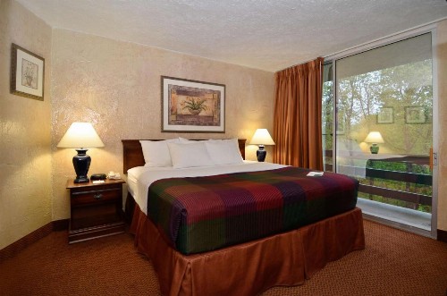 Best Western Branson Inn and Conference Center - image 17