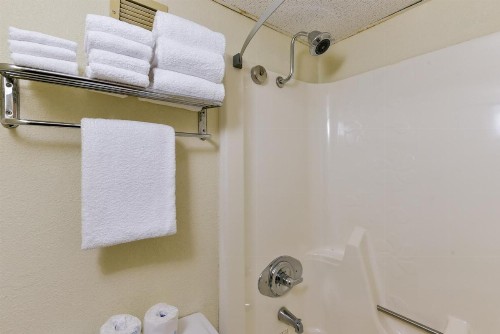 Best Western Branson Inn and Conference Center - image 35
