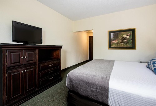 Savannah House Hotel - image 32