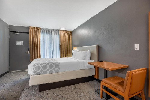 Baymont by Wyndham Branson - image 37