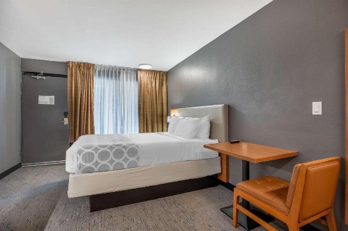 Baymont by Wyndham Branson - image 9