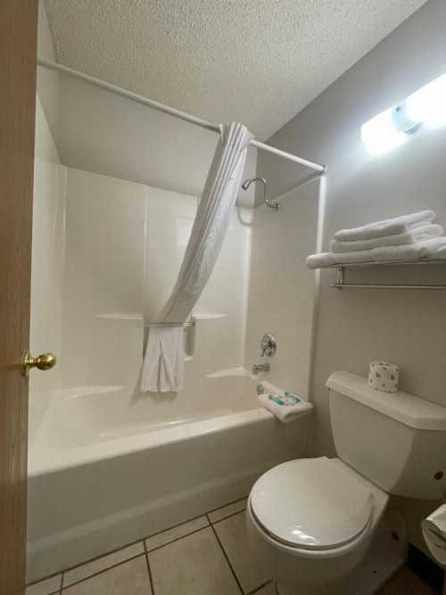 Willow Tree Inn Branson - image 2