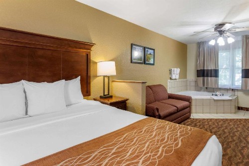 Comfort Inn & Suites Branson Meadows - image 29