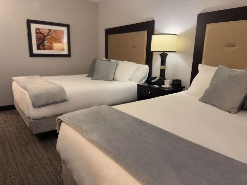Welk Resorts Branson Hotel - image 12