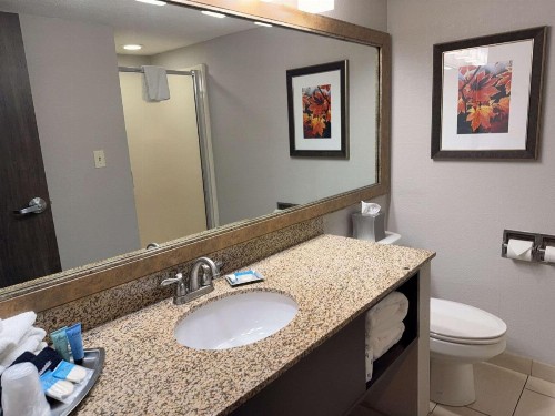 Welk Resorts Branson Hotel - image 21