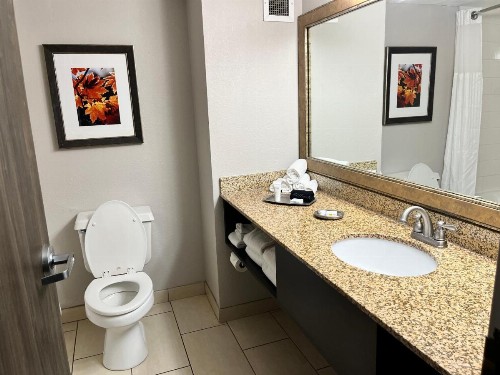 Welk Resorts Branson Hotel - image 46