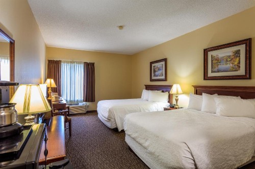 Branson Towers Hotel - image 22