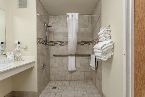Branson Towers Hotel - image 35