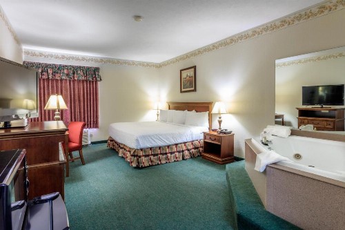 Branson Towers Hotel - image 48