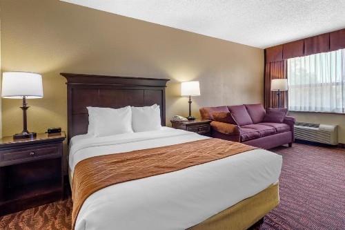 Comfort Inn at Thousand Hills - image 23