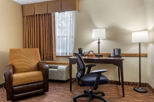 Comfort Inn at Thousand Hills - image 30