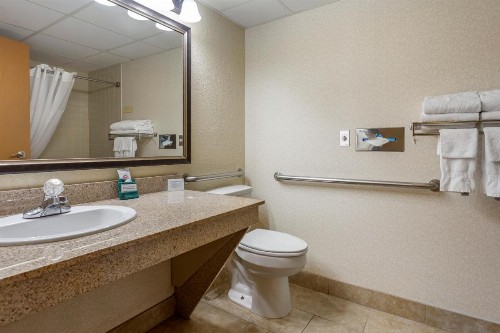 Comfort Inn at Thousand Hills - image 36