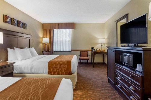 Comfort Inn at Thousand Hills - image 38