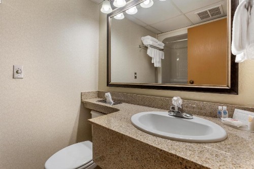 Comfort Inn at Thousand Hills - image 40