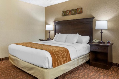 Comfort Inn at Thousand Hills - image 44