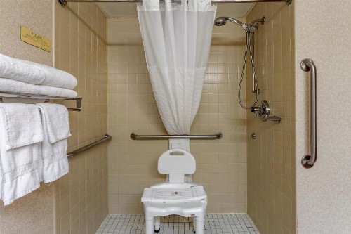Comfort Inn at Thousand Hills - image 45