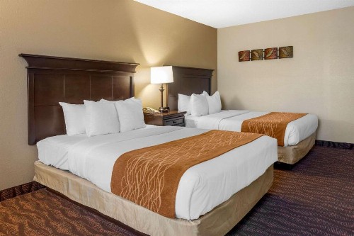 Comfort Inn at Thousand Hills - image 46