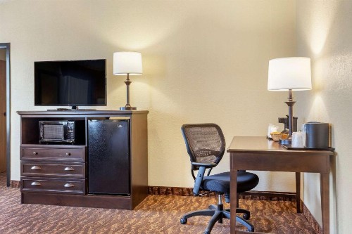 Comfort Inn at Thousand Hills - image 47