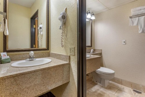 Comfort Inn at Thousand Hills - image 48