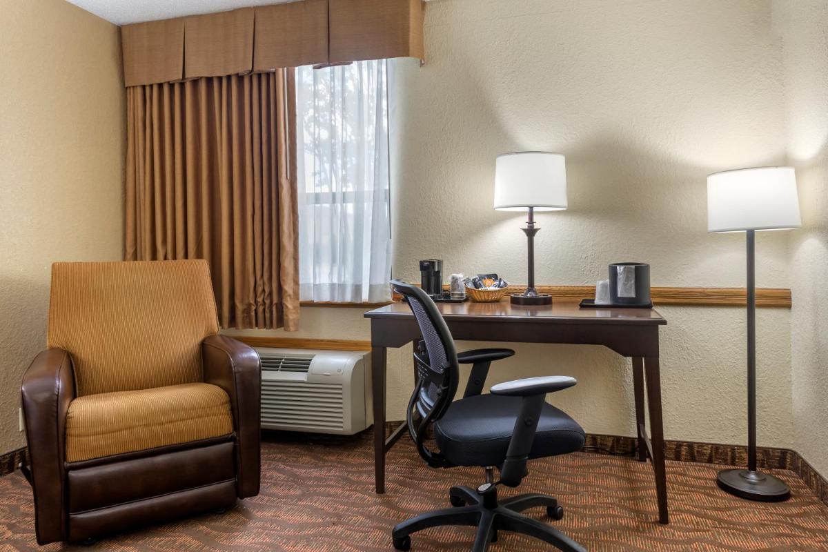 Comfort Inn at Thousand Hills - image 6