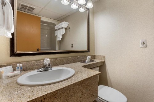Comfort Inn at Thousand Hills - image 8
