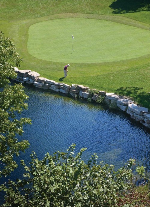 WorldMark Branson - image 34