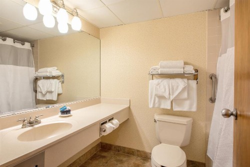 Lodge of the Ozarks - image 4