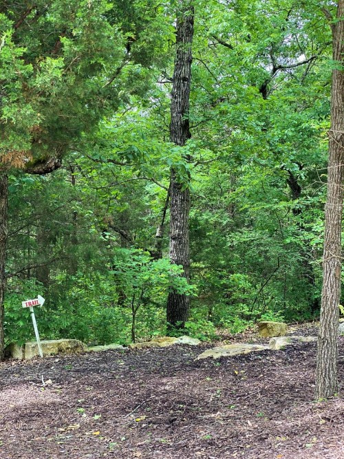 The Park at Foxborough - image 2