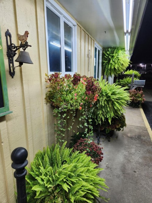 Homestead Motel - image 11