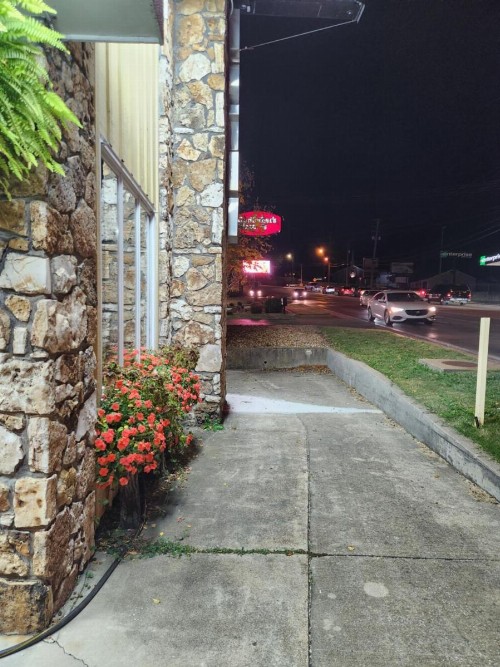 Homestead Motel - image 17
