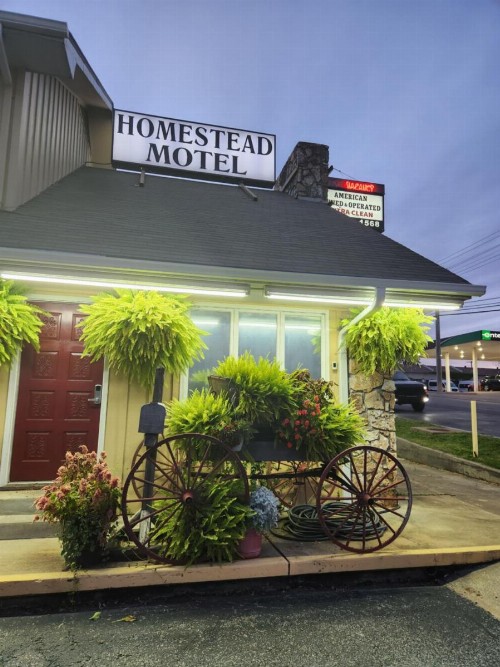 Homestead Motel - image 21
