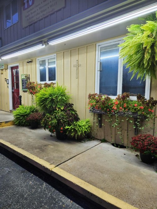 Homestead Motel - image 34
