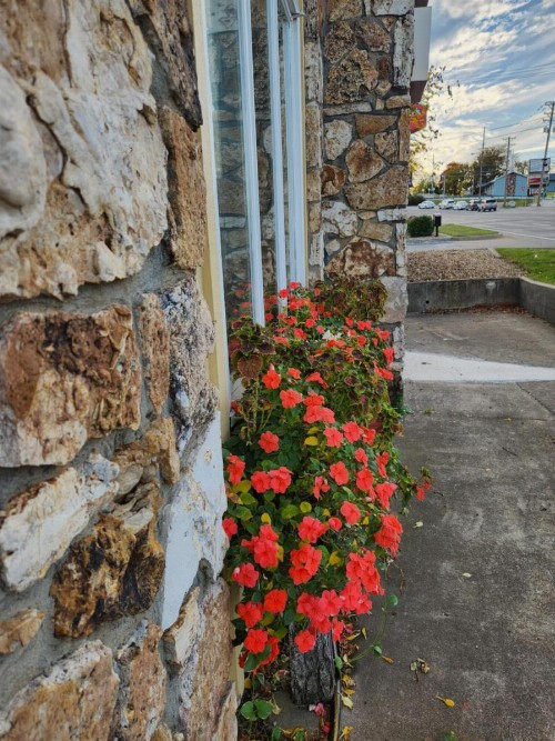 Homestead Motel - image 4