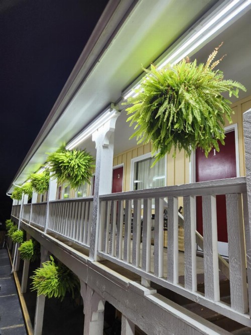 Homestead Motel - image 7