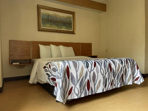 Red Roof Inn Branson - image 30