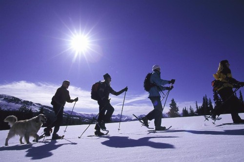 Mountain Thunder Lodge - image 12