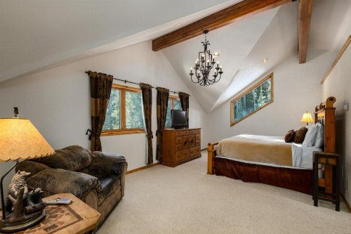 Sherwood Forest - image 9