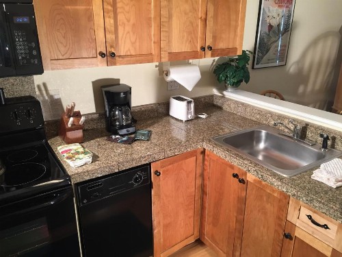 Wildwood Suites Apartment - image 11