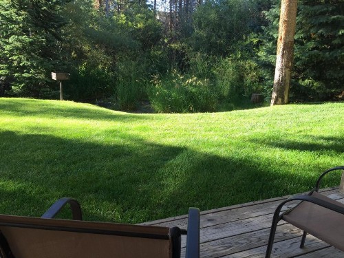 Wildwood Suites Apartment - image 5
