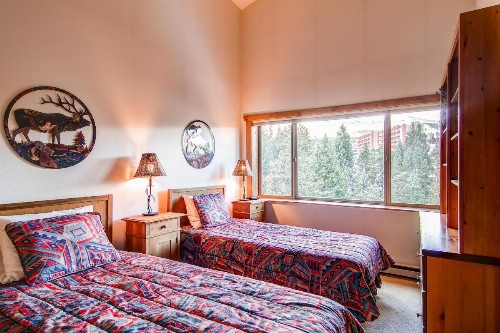 Powderhorn Penthouse Condo - image 21