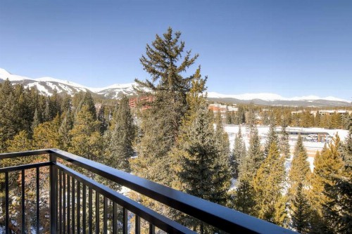 Powderhorn Penthouse Condo - image 23