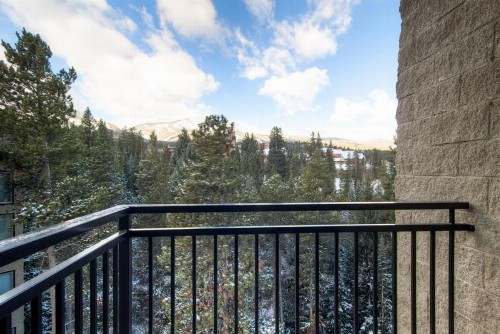 Powderhorn Penthouse Condo - image 31