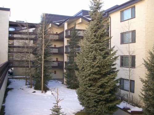 Powderhorn Penthouse Condo - image 32