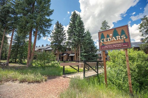 Cedars 29 - image 11