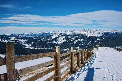 Cedars 29 - image 30