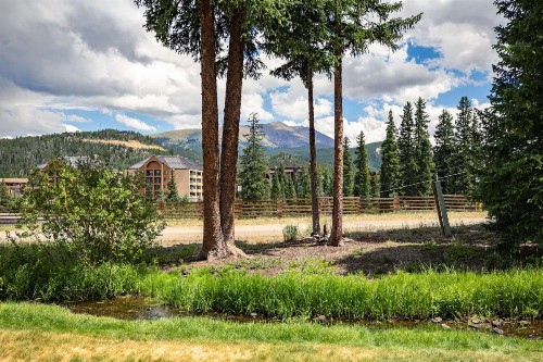 Cedars 29 - image 38